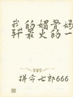 我的媚骨妈妈林轩最火的一句