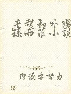 老赵和外甥媳妇孙雨菲小说