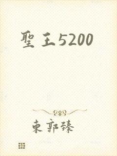 圣王5200