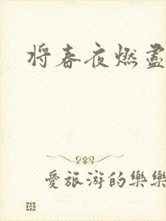 将春夜燃尽