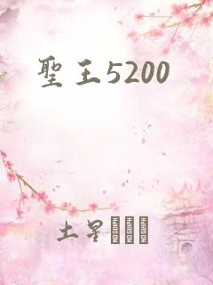 圣王5200