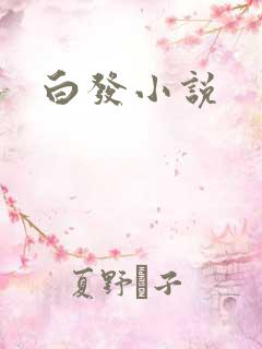 白发小说