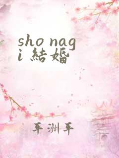sho nagi 结婚