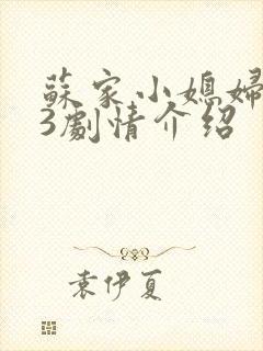 苏家小媳妇1V3剧情介绍