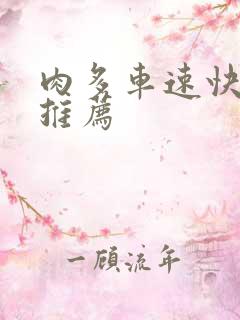 肉多车速快的书推荐