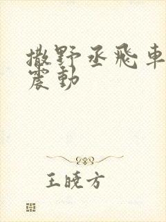 撒野丞飞车道具震动