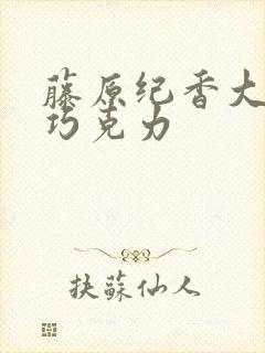 藤原纪香大战黑巧克力