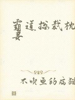 霸道总裁枕边前妻