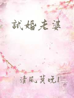 试婚老婆