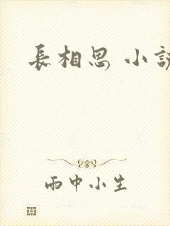长相思 小说