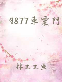 9877车震门