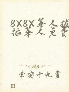 8X8X华人拔插华人免费