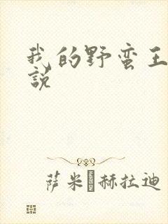 我的野蛮王妃小说