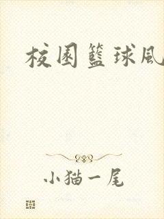 校园篮球风云录