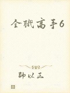 全职高手6