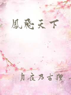凤飞天下