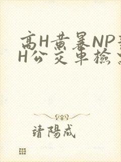 高H黄暴NP辣H公交车检票员