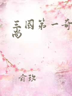 三国第一奇兵袁尚