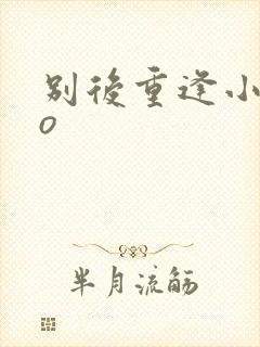 别后重逢小说po