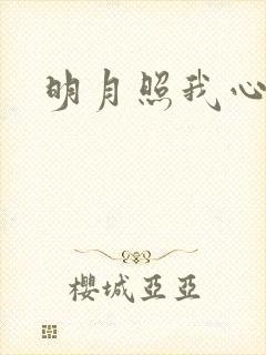 明月照我心小说