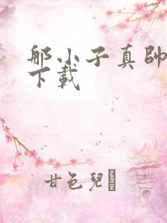 那小子真帅小说下载