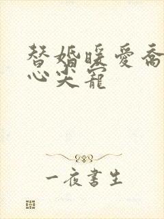 替婚暖爱乔少的心尖宠