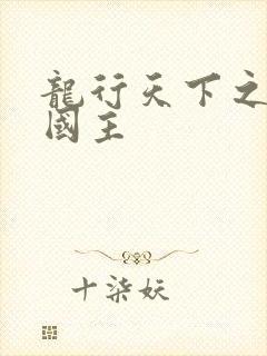 龙行天下之真假国主