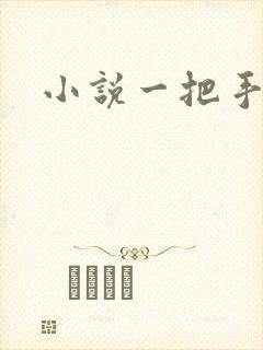 小说一把手