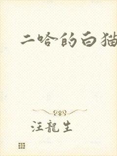 二哈的白猫师尊