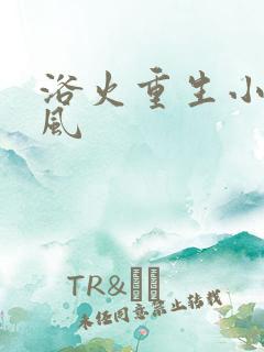 浴火重生小说陈风