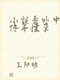 小说番外中结局佟年怀孕