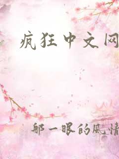 疯狂中文网