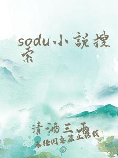 sodu小说搜索