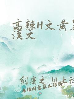 高辣H文黄暴糙汉文