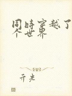 同时穿越了99个世界