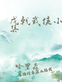 戊戟武侠小说全集