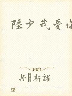 陆少 我爱你