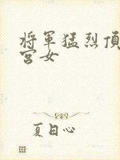 将军猛烈顶弄h宫女