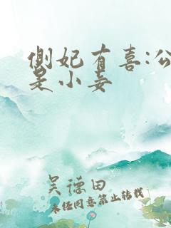 侧妃有喜:公主是小妾