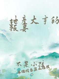 地产大亨的豪门叛妻