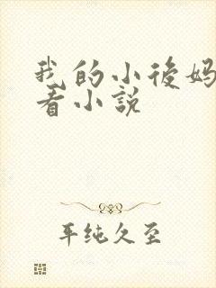 我的小后妈免费看小说