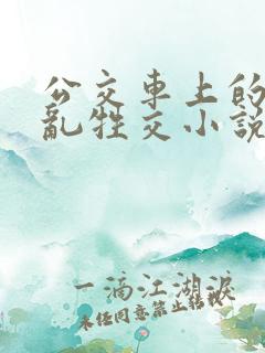 公交车上的疯狂乱牲交小说