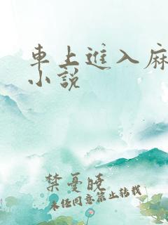 车上进入麻麻的小说