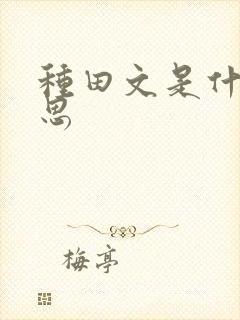 种田文是什么意思