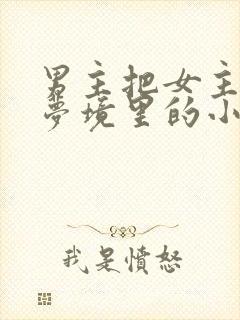 男主把女主拖进梦境里的小说