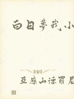 白日梦我小说