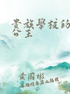 贵族学校的双面公主