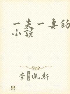 一夫一妻的玄幻小说