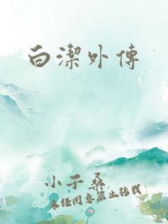 白洁外传