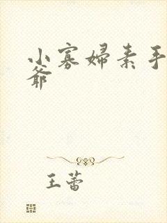 小寡妇素手擒四爷